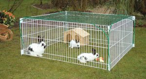 cage a lapin exterieure