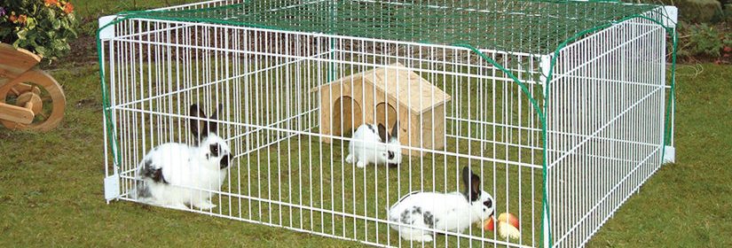 cage a lapin exterieure